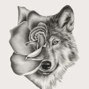 Meet your Posher, Rose